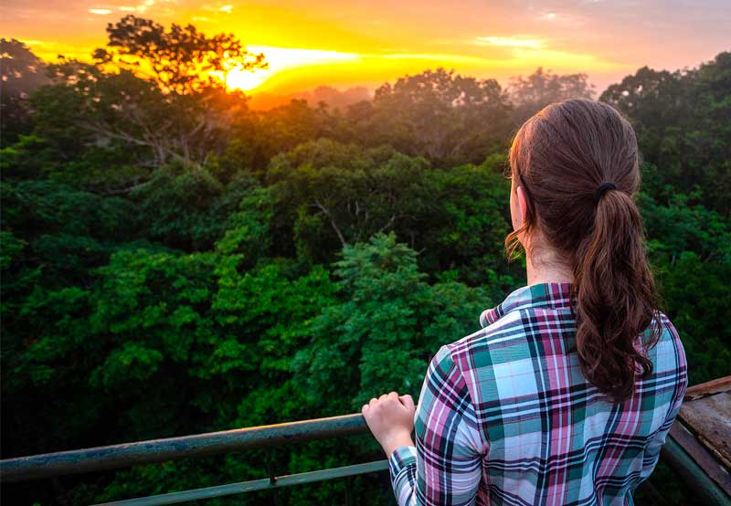 Sunset in Tambopata